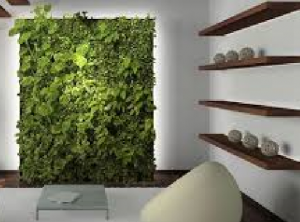 Interior Design Trends for Millennials sustainable design