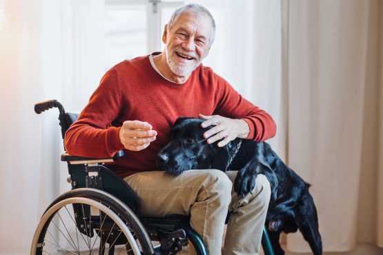 wheelchair aging in place