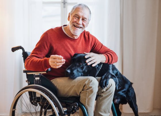 wheelchair aging in place