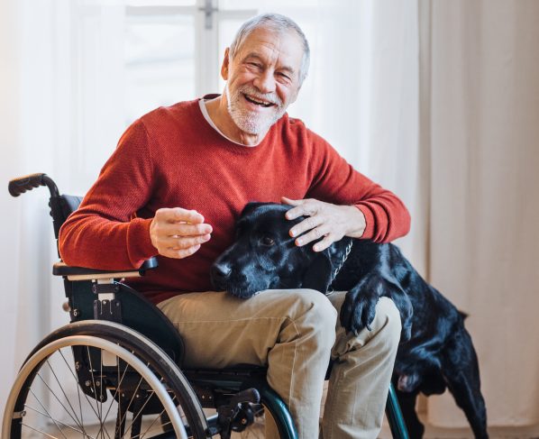 wheelchair aging in place