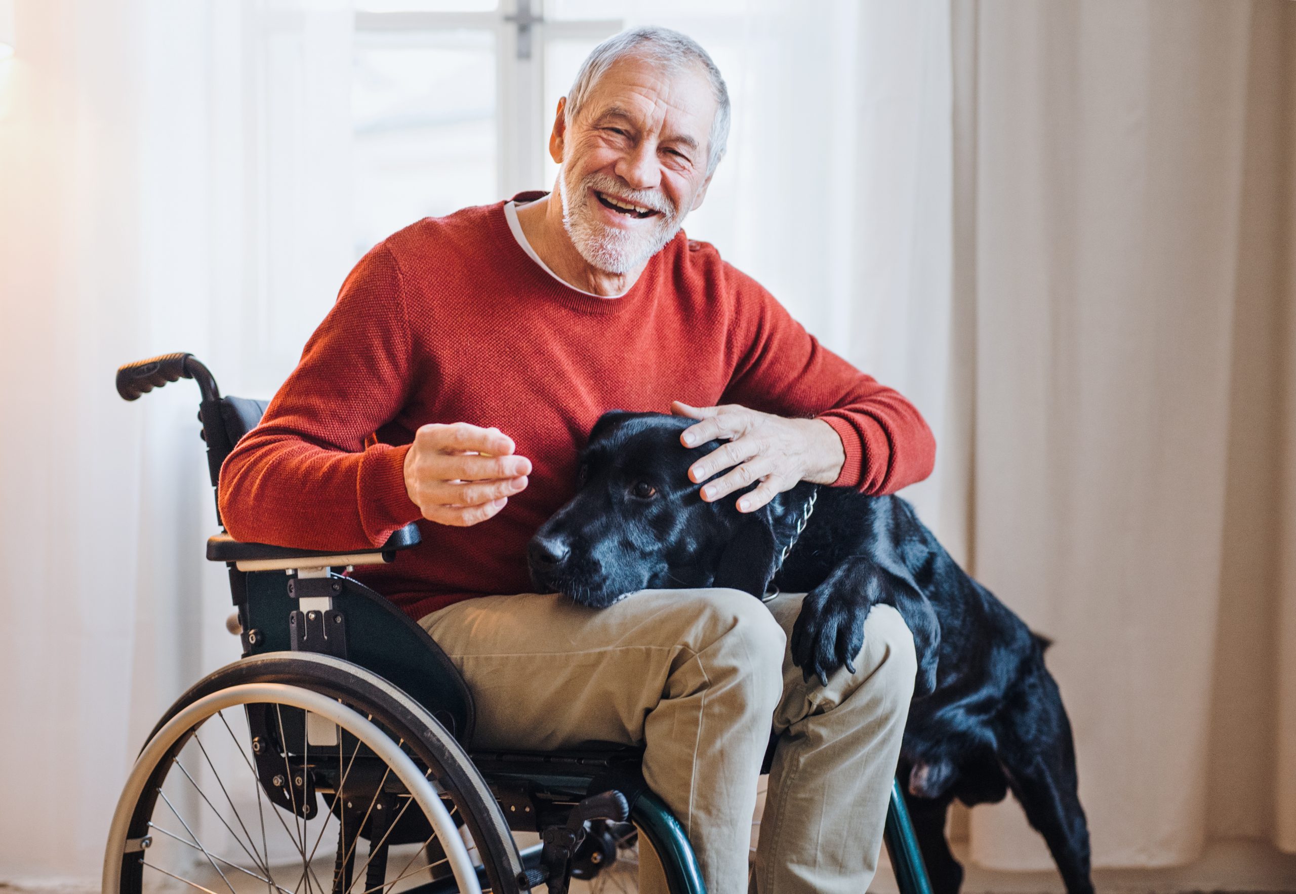 wheelchair aging in place